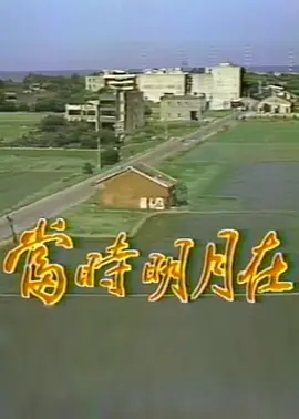 当时明月在