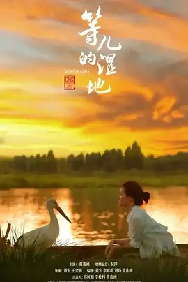 等儿的湿地