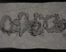 In a Mere Metamorphosis