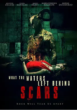What the Water Left Behind: Scars
