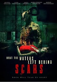 What the Water Left Behind: Scars