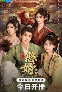 贤婿2之憨婿