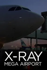 X-Ray Mega Airport (Inside Frankfurt Airport)