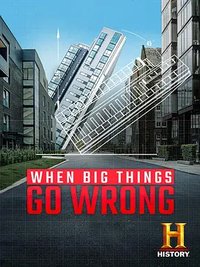 When Big Things Go Wrong