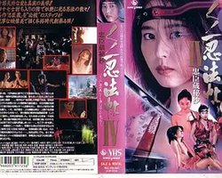 Female Ninjas: Magic Chronicles 4