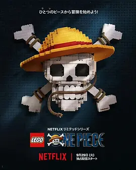 LEGO ONE PIECE (乐高海贼王)