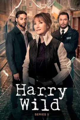 Harry Wild – Mörderjagd in Dublin (Harry Wild)