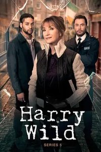 Harry Wild sæson 5