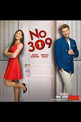 Habitacion 309 (Room Number: 309)