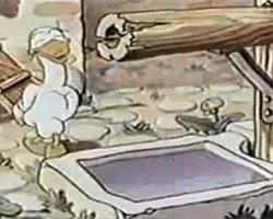 The Silly Goose