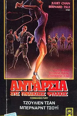 Commando Fury
