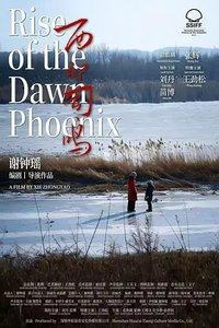 Rise of the Dawn Phoenix