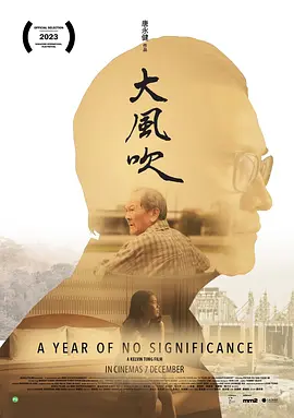 A Year of No Significance