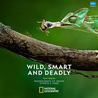 Wild, Smart and Deadly