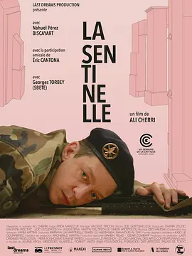 The Sentinel