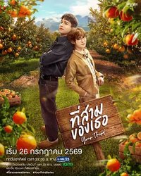 Your Third