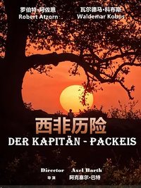 西非历险