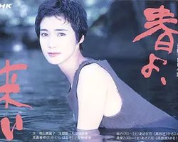 Haru yo koi