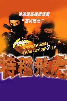 Special forces Flying Tiger