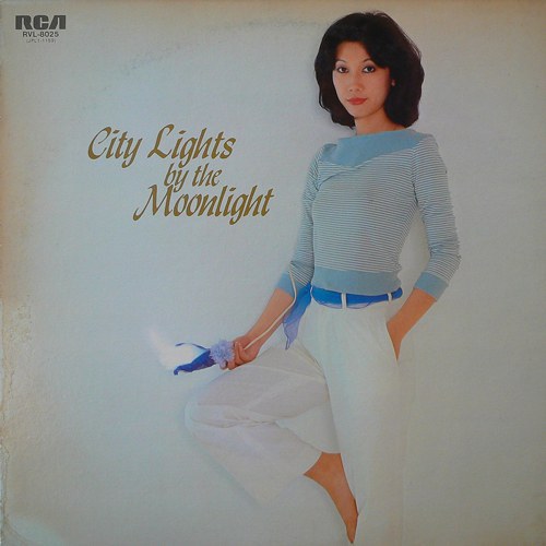 CITY LIGHTS BY THE MOONLIGHT