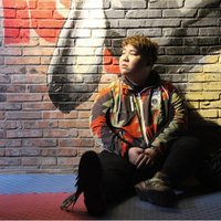 两个李安