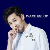 Wake Me Up