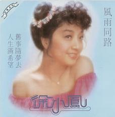风雨同路