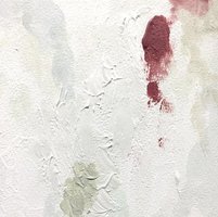 アポトーシスの愛し方