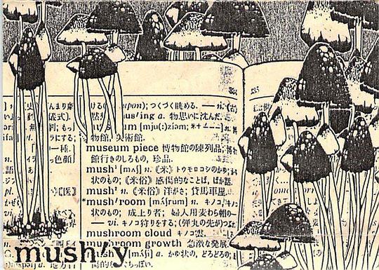 Mush'y