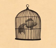 Fish In A Birdcage