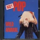 Wild Animal (Live 1977)