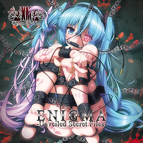 ENIGMA -Unveiled Secret Files-