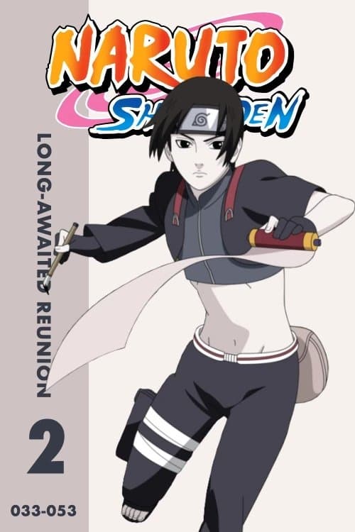 Naruto: Shippūden (Long-Awaited Reunion)
