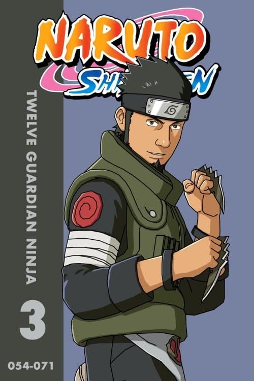 Naruto: Shippūden (Twelve Guardian Ninja)