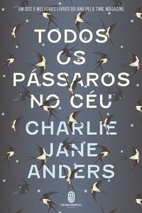 Todos os pássaros no céu (Morro Branco 2017)