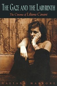 The Gaze and the Labyrinth (Princeton University Press 2000)