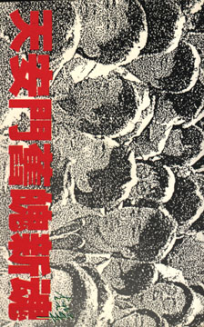 天安門舊魄新魂