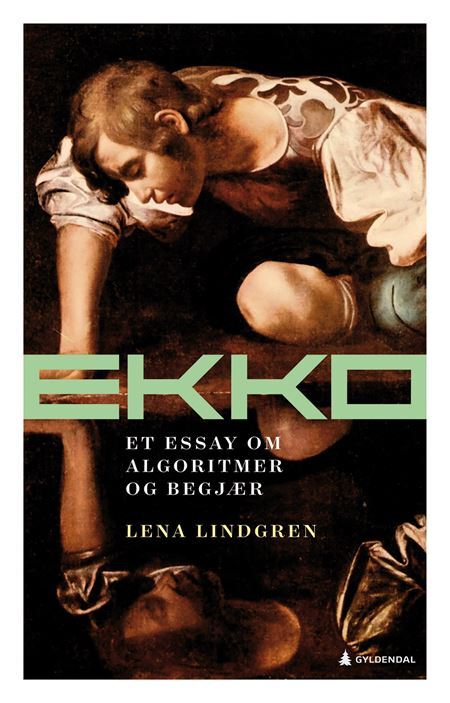 Ekko: Et essay om algoritmer og begjær