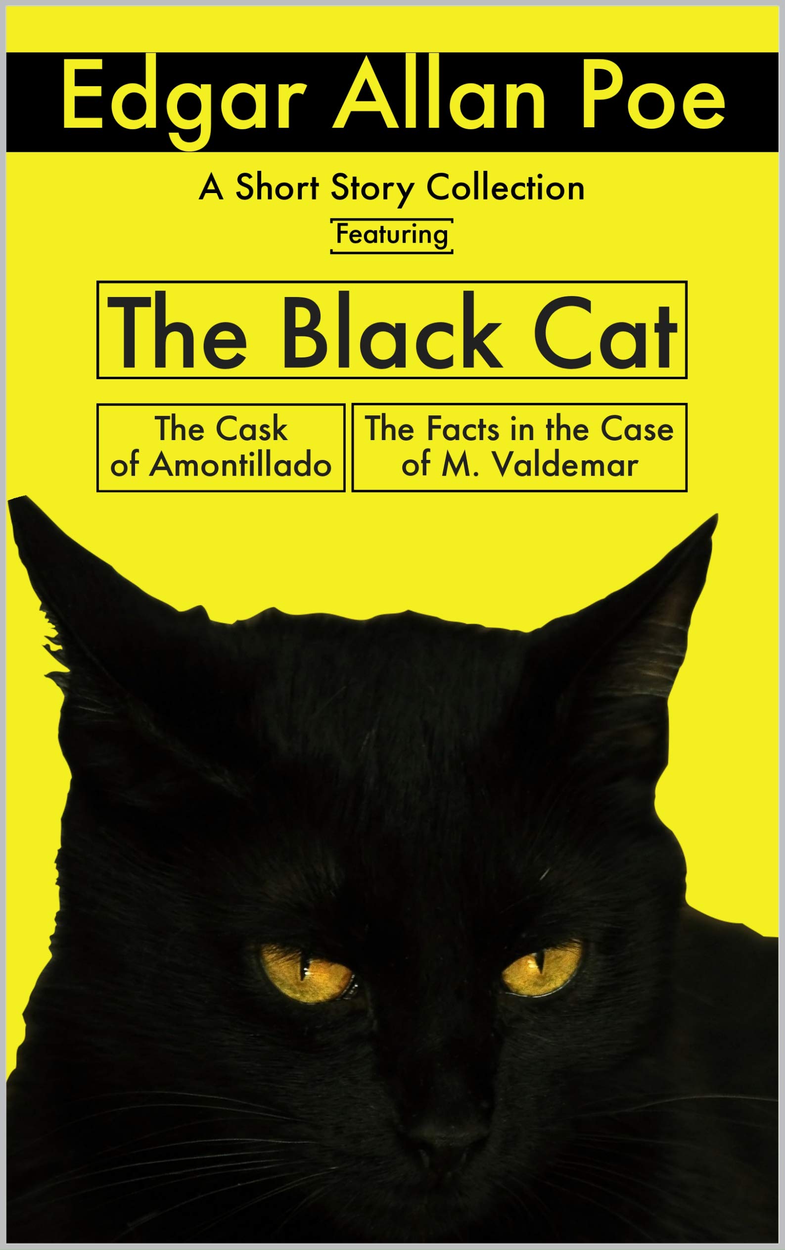 The Black Cat and Other Short Stories