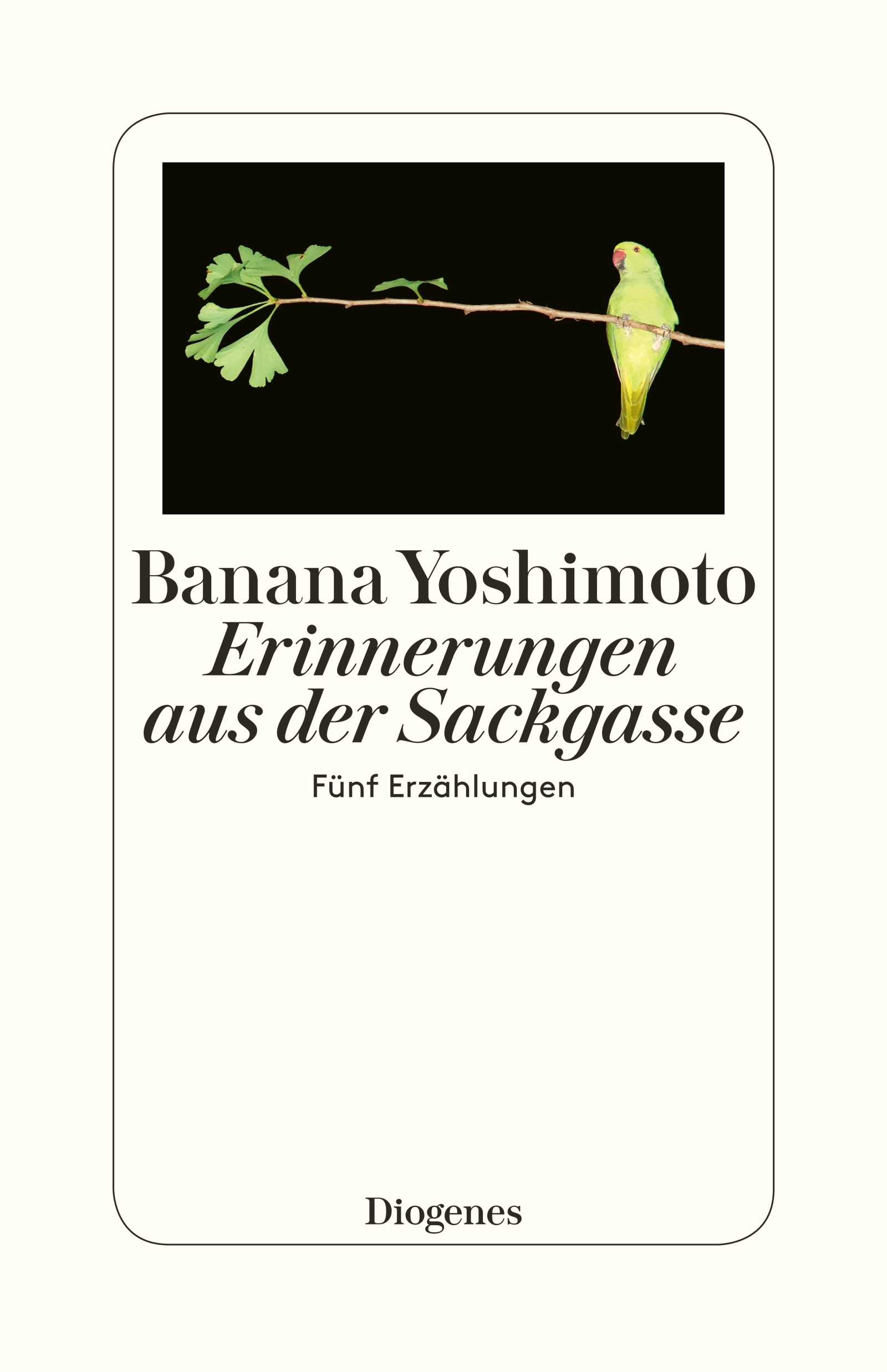 Erinnerungen aus der Sackgasse: Fünf Erzählungen