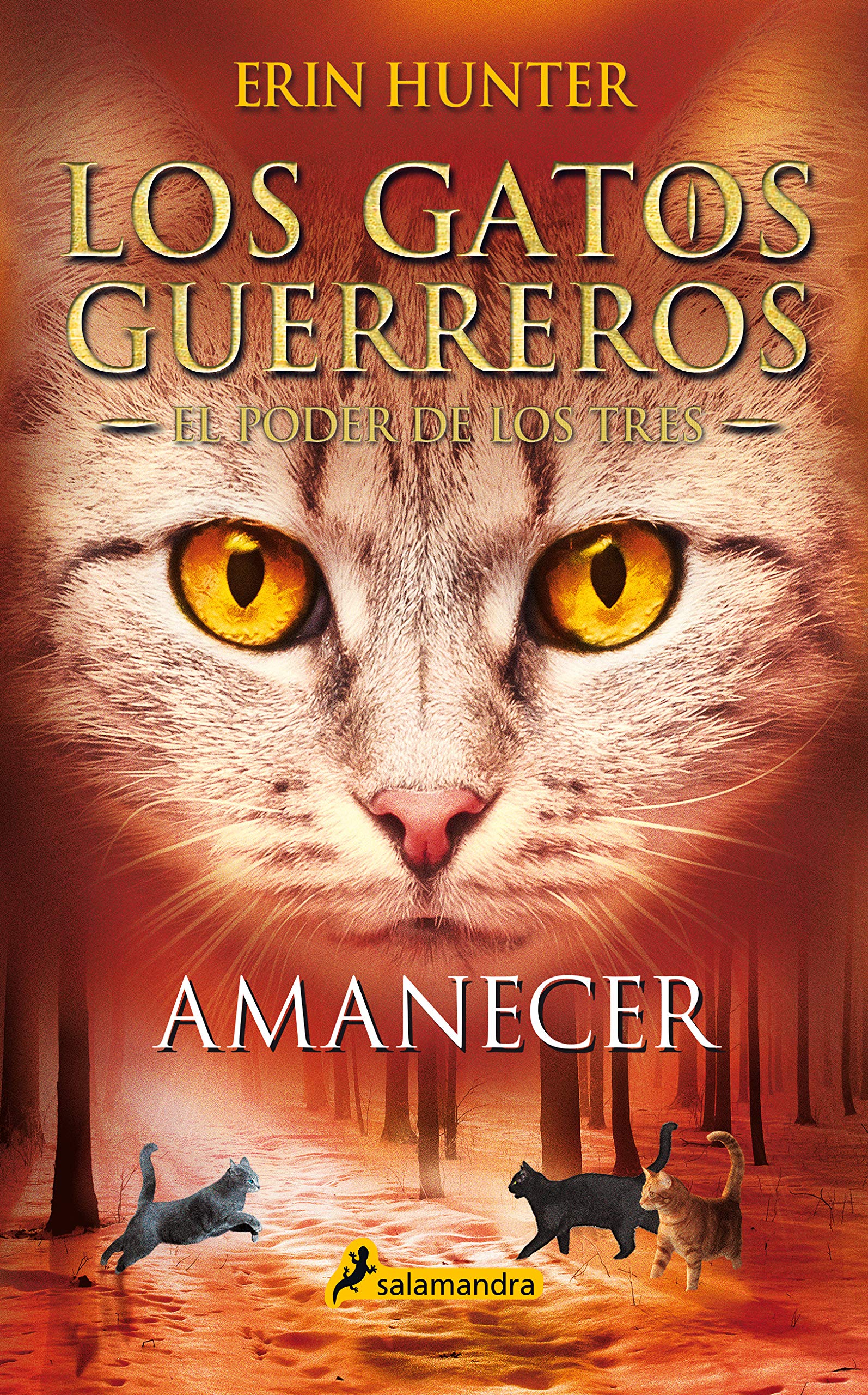 Amanecer