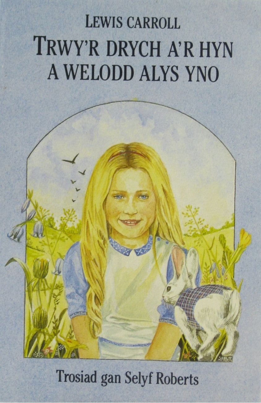 Trwy'r drych : a'r hyn a welodd Alys yno
