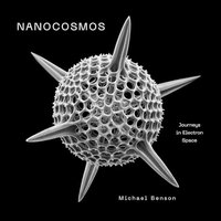 Nanocosmos: Journeys in Electron Space