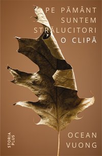 Pe pământ suntem strălucitori o clipă (Storia Books 2019)
