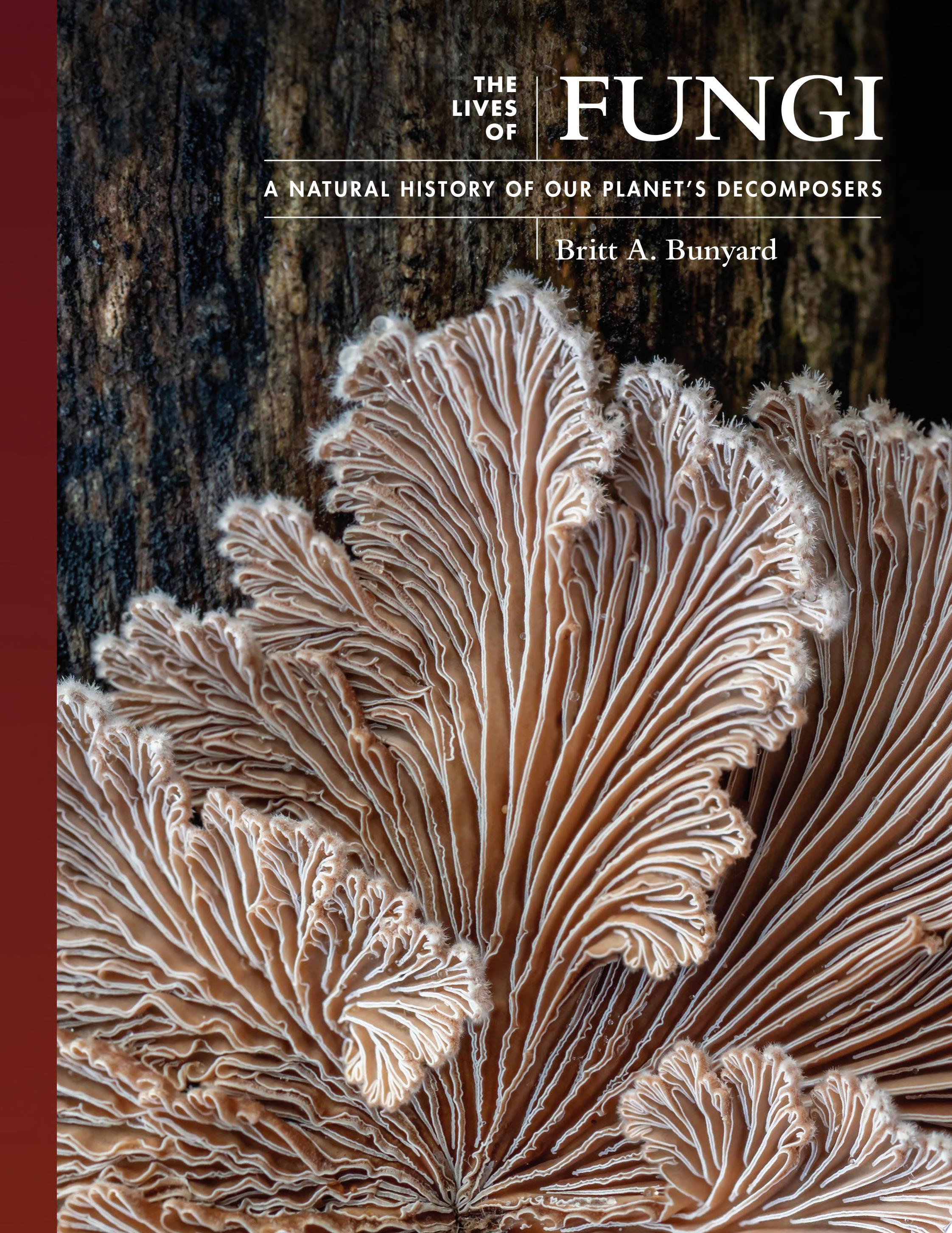 The Lives of Fungi