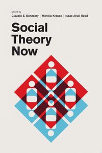 Social Theory Now (University of Chicago Press 2017)