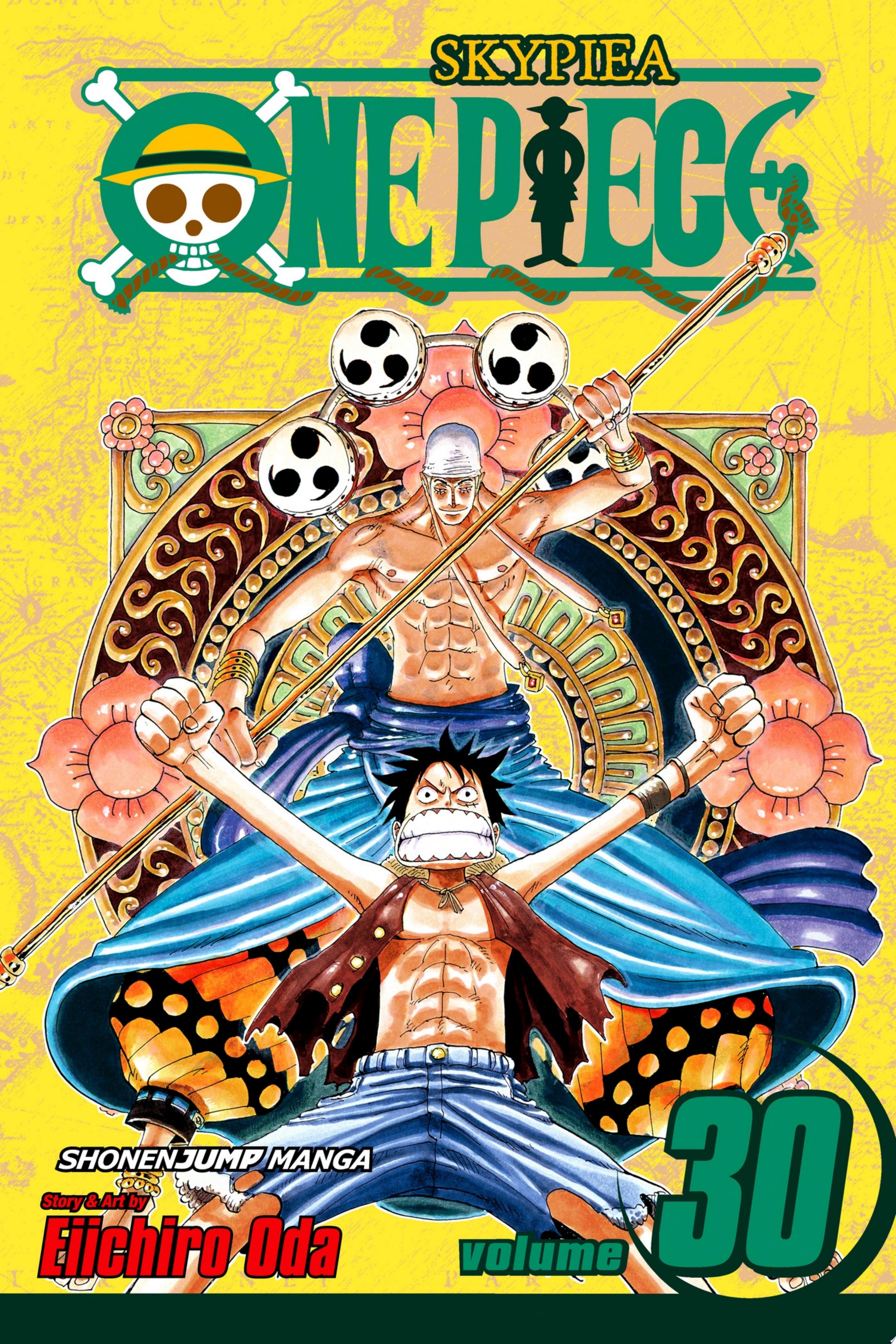 One Piece, Vol. 30