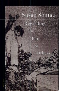 Regarding the Pain of Others