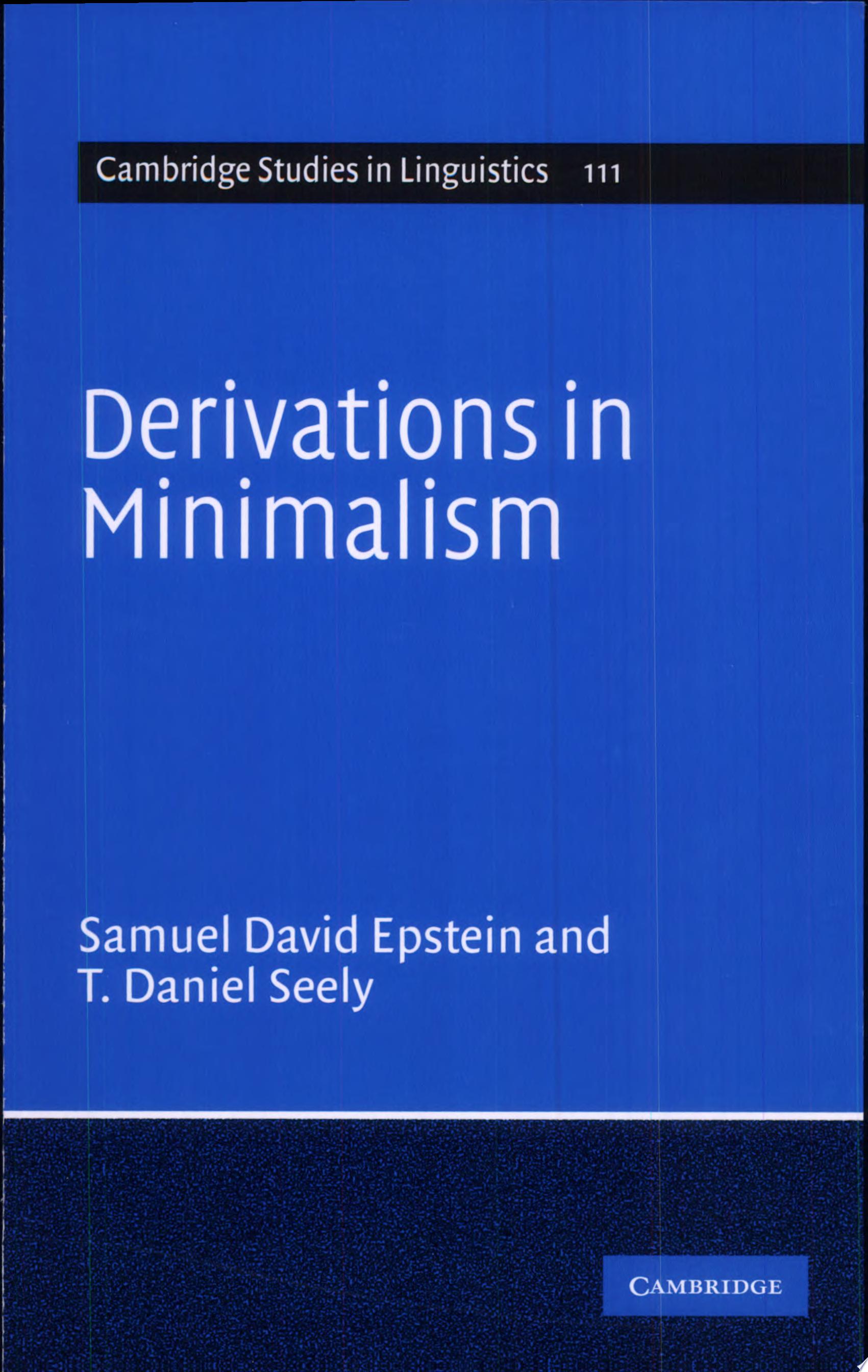Derivations in Minimalism