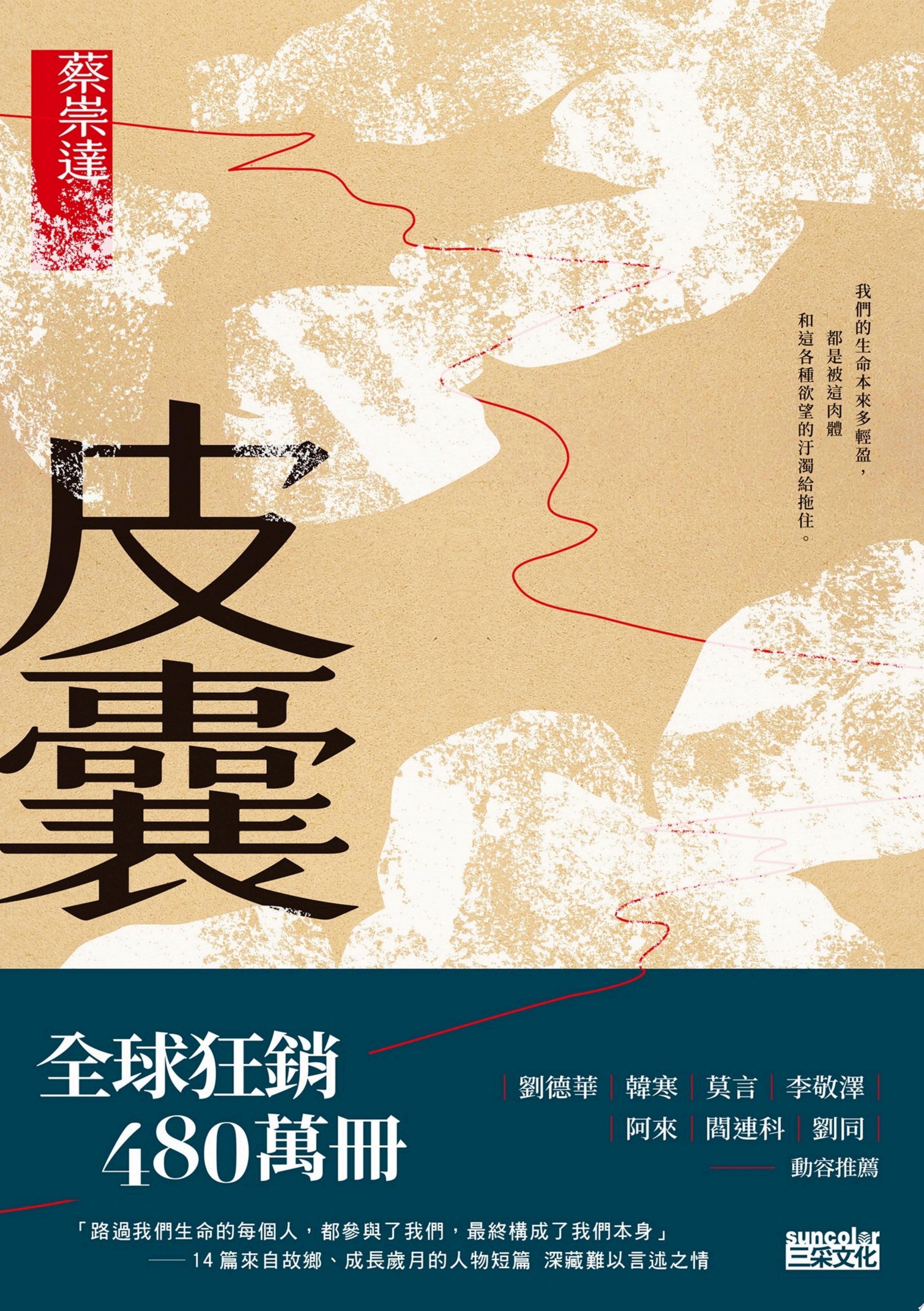皮囊〔讀懂這些故事，就參透了人生〕
